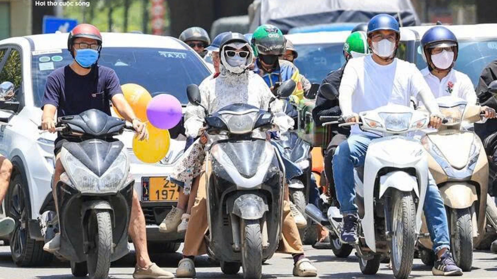 Hạ chí năm 2026 vào ngày nào?