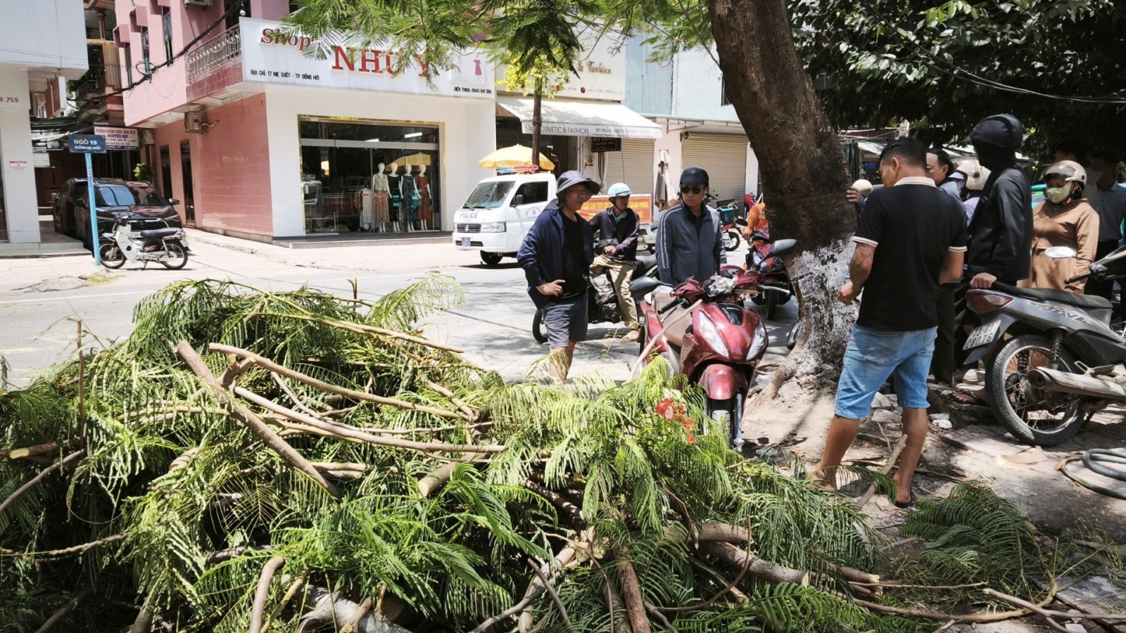 Cây gãy đè trúng người đi xe máy tại phường Đồng Hới, tỉnh Quảng Trị