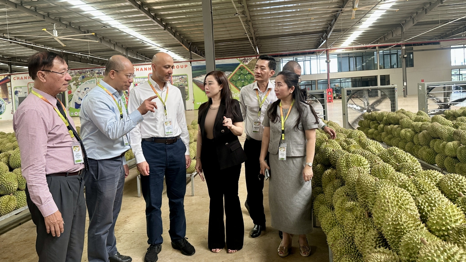 Nông nghiệp Đắk Lắk chuyển từ chiều rộng năng suất sang chiều sâu chất lượng