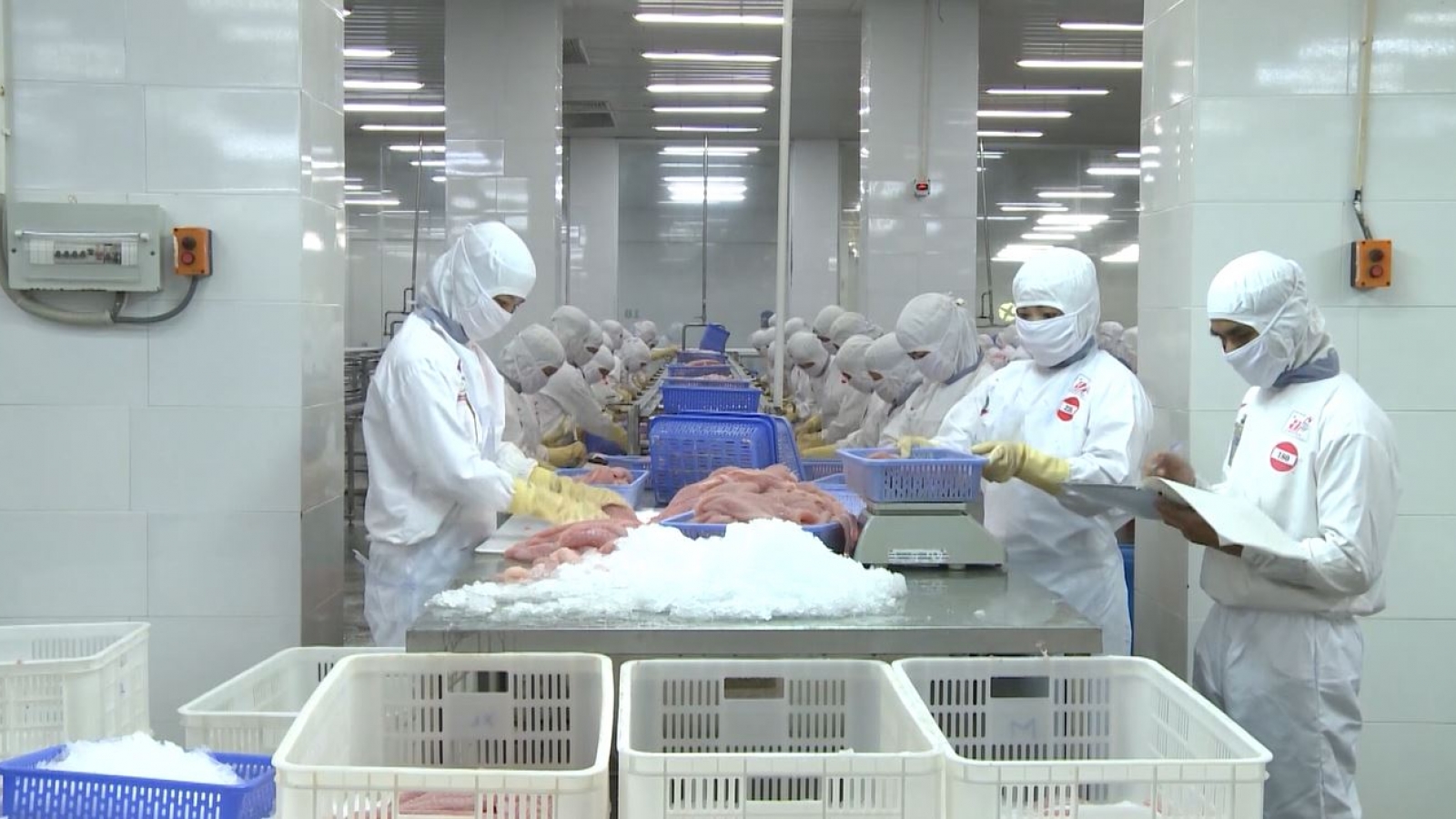 Nông nghiệp trước áp lực phòng vệ thương mại toàn cầu và những biến thể mới