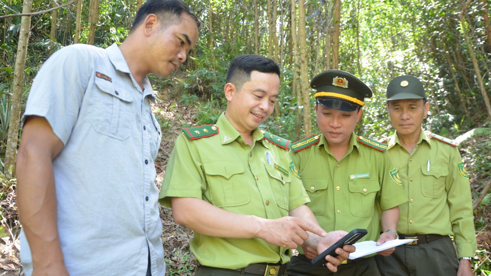 Miền núi Đà Nẵng chủ động phòng cháy rừng trong cao điểm nắng nóng