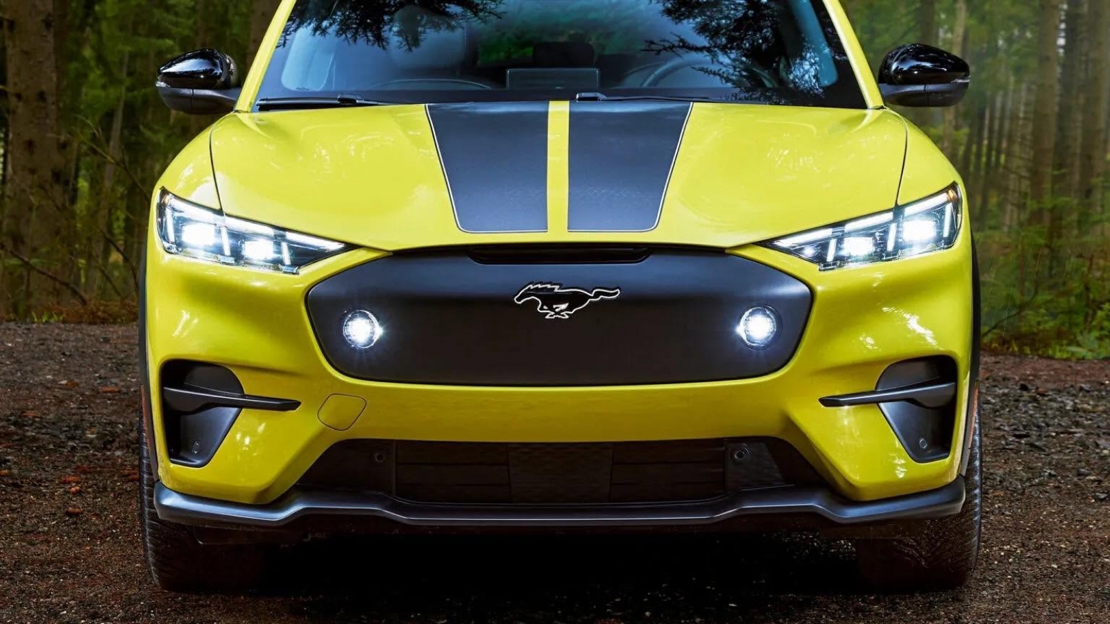 Ford Mustang Mach-E đứng trước nguy cơ không có thế hệ kế nhiệm