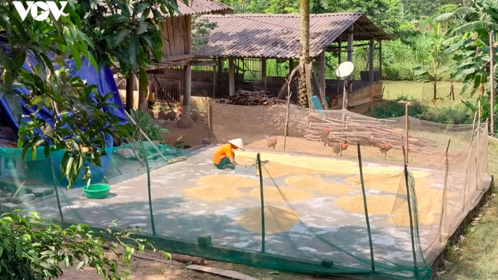 Tuyên Quang phấn đấu không còn hộ nghèo vùng đồng bào dân tộc thiểu số