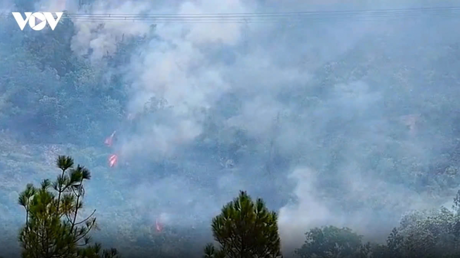 Forest fire in Central Vietnam brought under control after two days