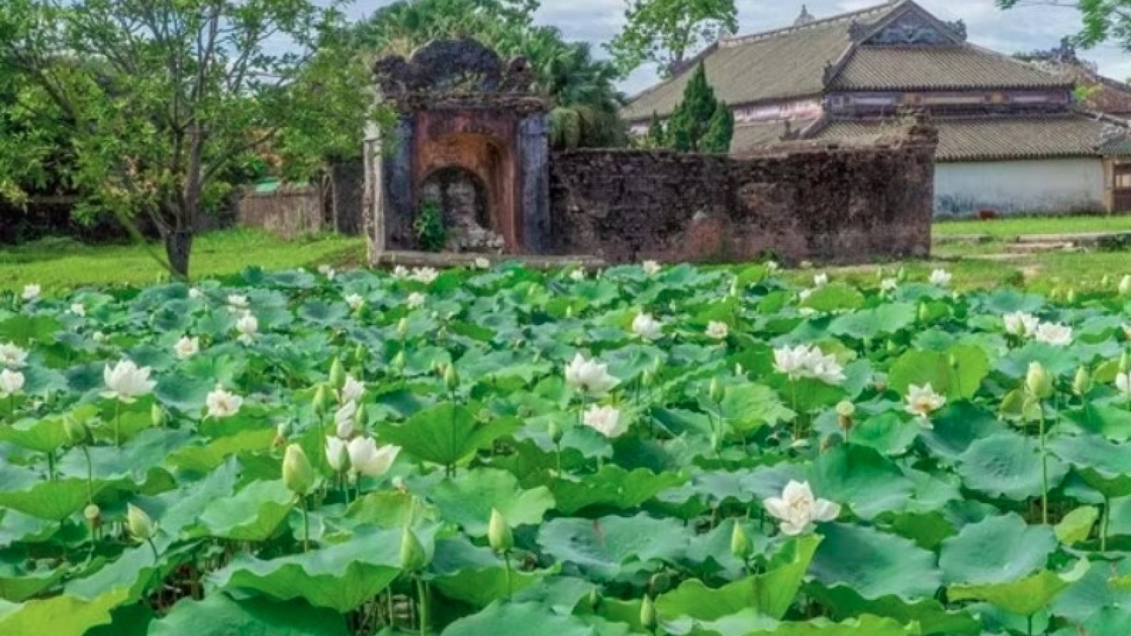 Lotus Festival lights up Hue’s summer