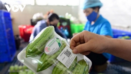 Product traceability system launched to boost market transparency, digital trade