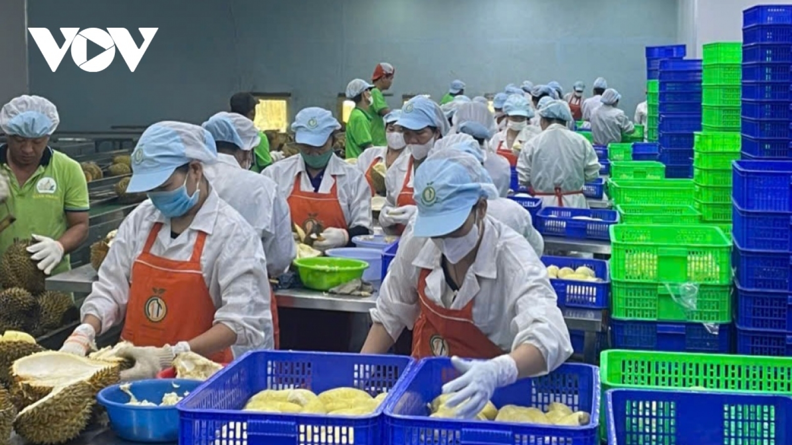 Agricultural product exports continue to generate strong trade surplus