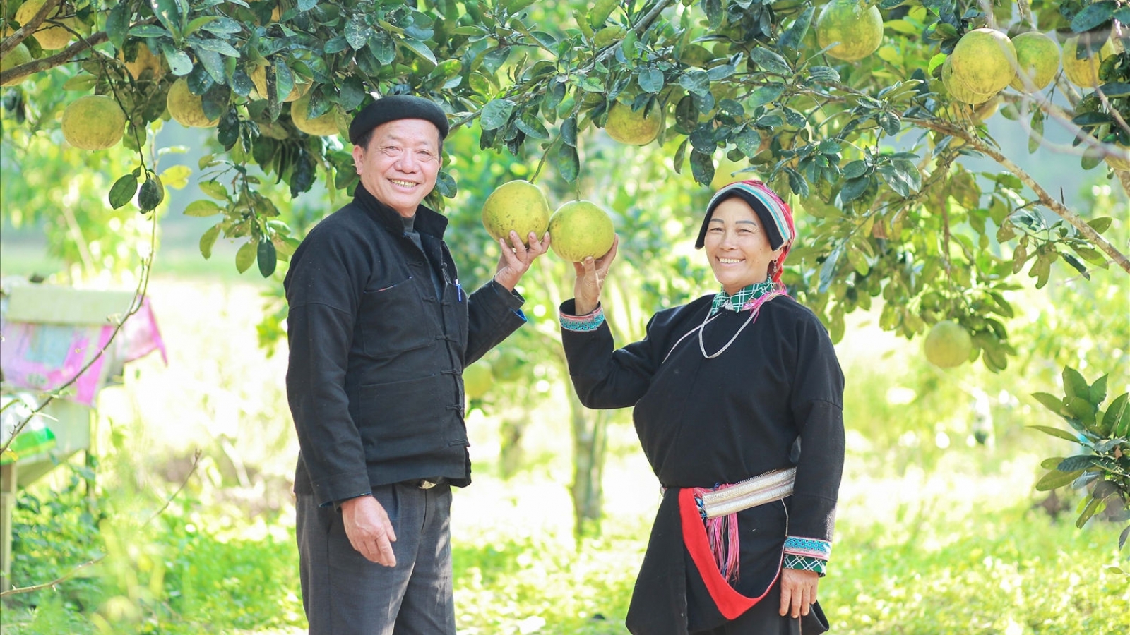 Tuyên Quang phấn đấu không còn hộ nghèo vùng đồng bào dân tộc thiểu số