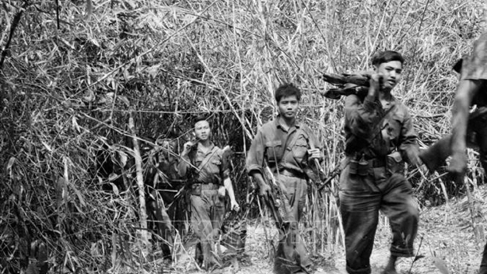 Cùng anh tiến quân trên đường dài
