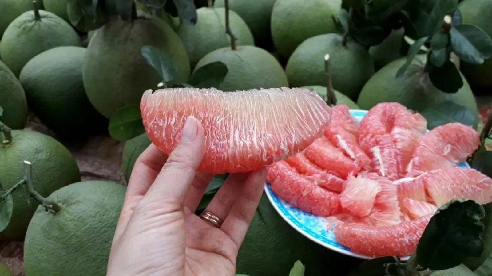 Không chỉ ngon ngọt, bưởi da xanh còn mang lại 8 lợi ích bất ngờ cho sức khỏe