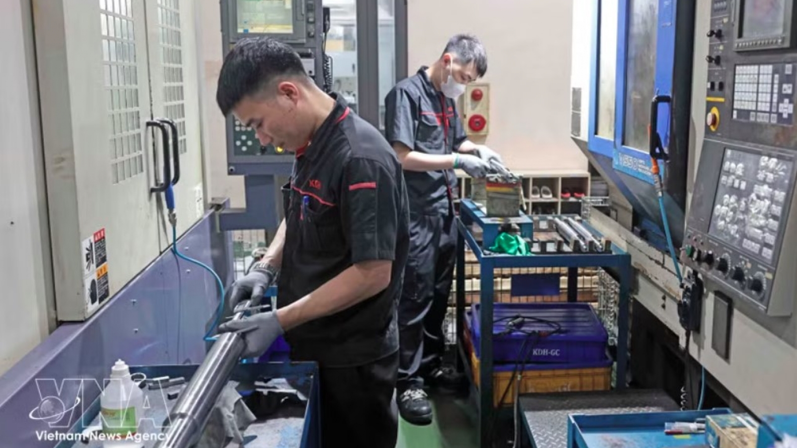 Nearly 95,000 businesses established in Jan–May