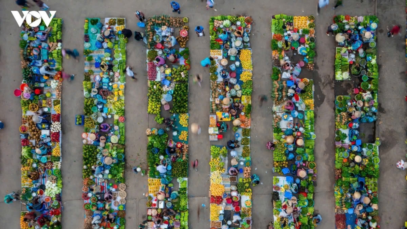 A glimpse into authentic Mekong Delta life at Chom Hom market