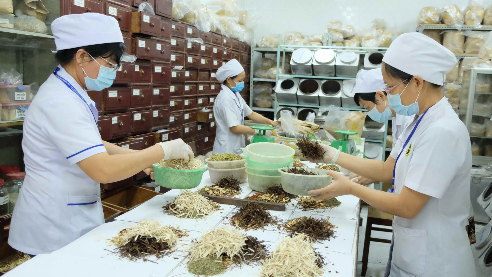 Tháo gỡ rào cản để đưa thuốc y học cổ truyền về tận tuyến xã