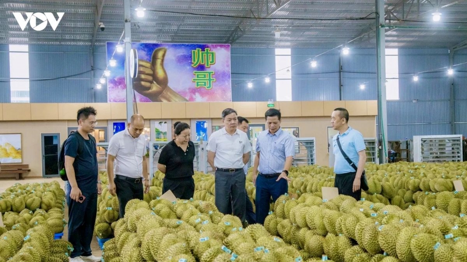 "Green lane" mechanism to boost Central Highlands durian exports