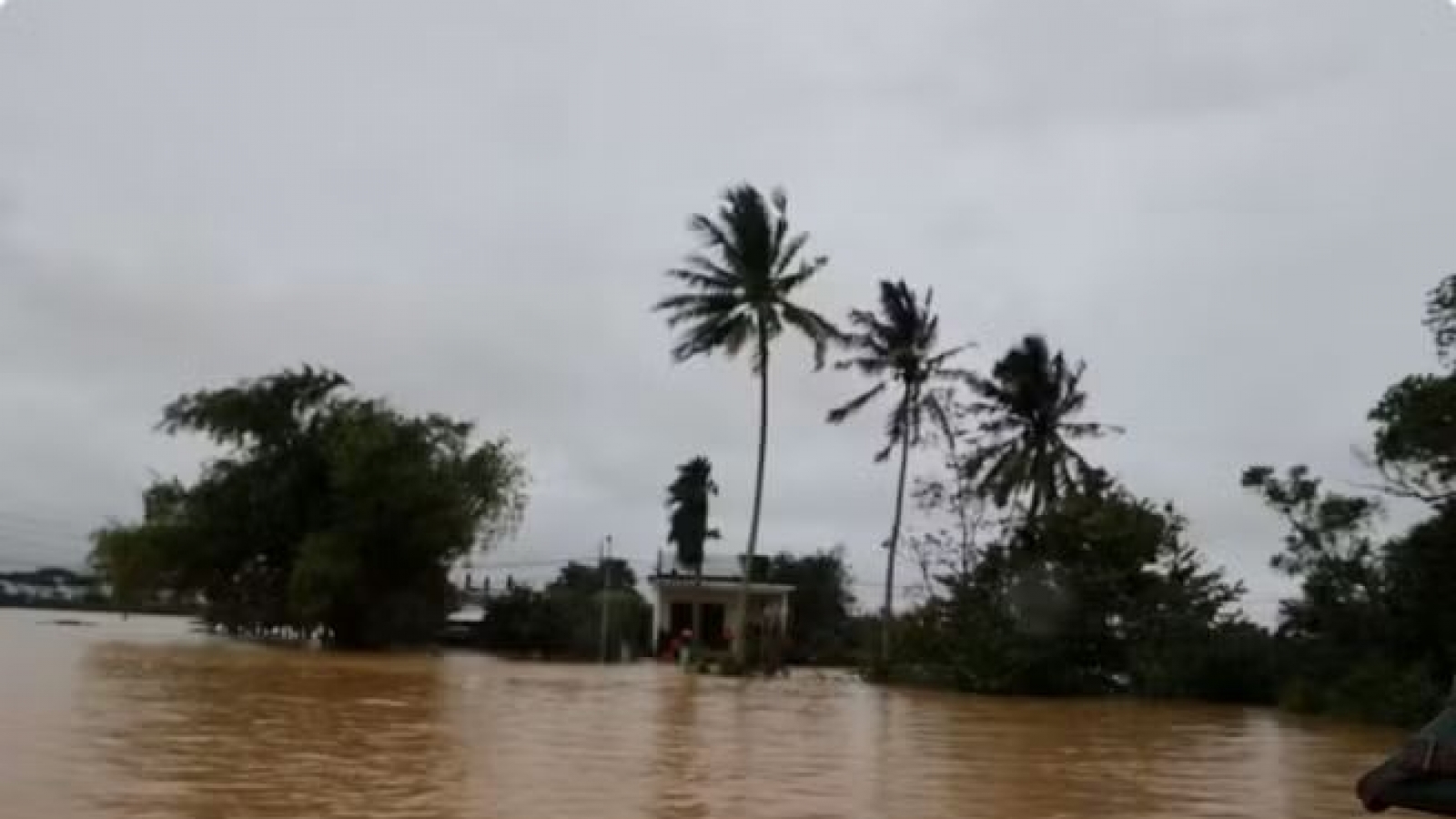 Da Nang explores ‘sponge city’ model to tackle urban flooding