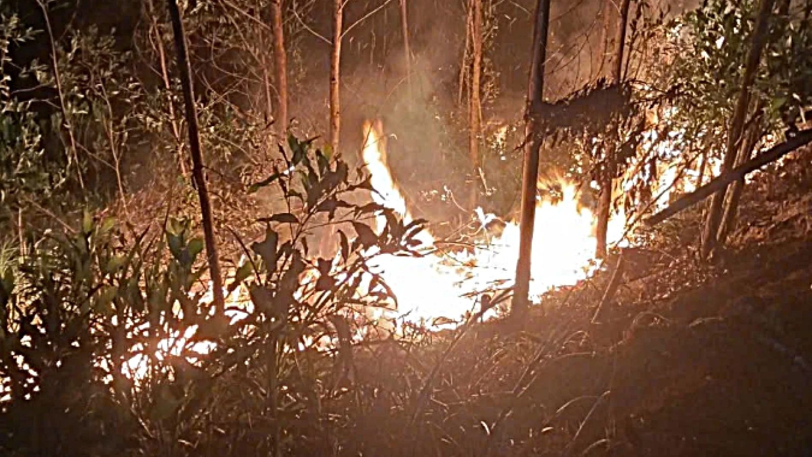 Wildfires break out in Central Vietnam as extreme heat pushes temperatures above 40°C