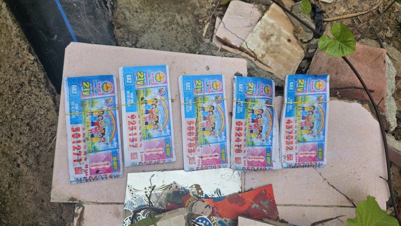 Bắt kẻ cướp tài sản của cụ bà khuyết tật 70 tuổi bán vé số