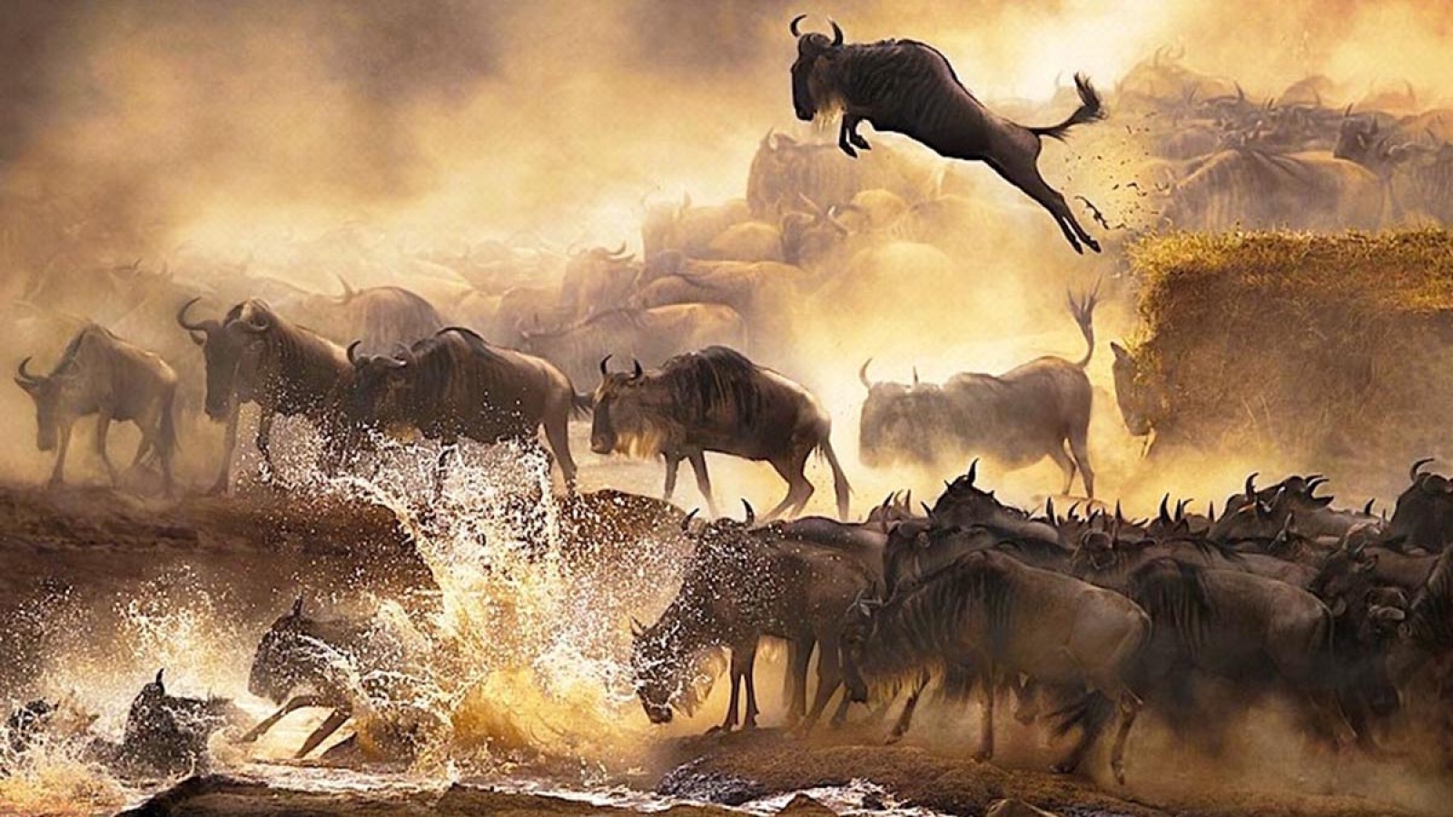 Top 4 hiện tượng tự nhiên hoang dã mê hoặc du khách toàn cầu