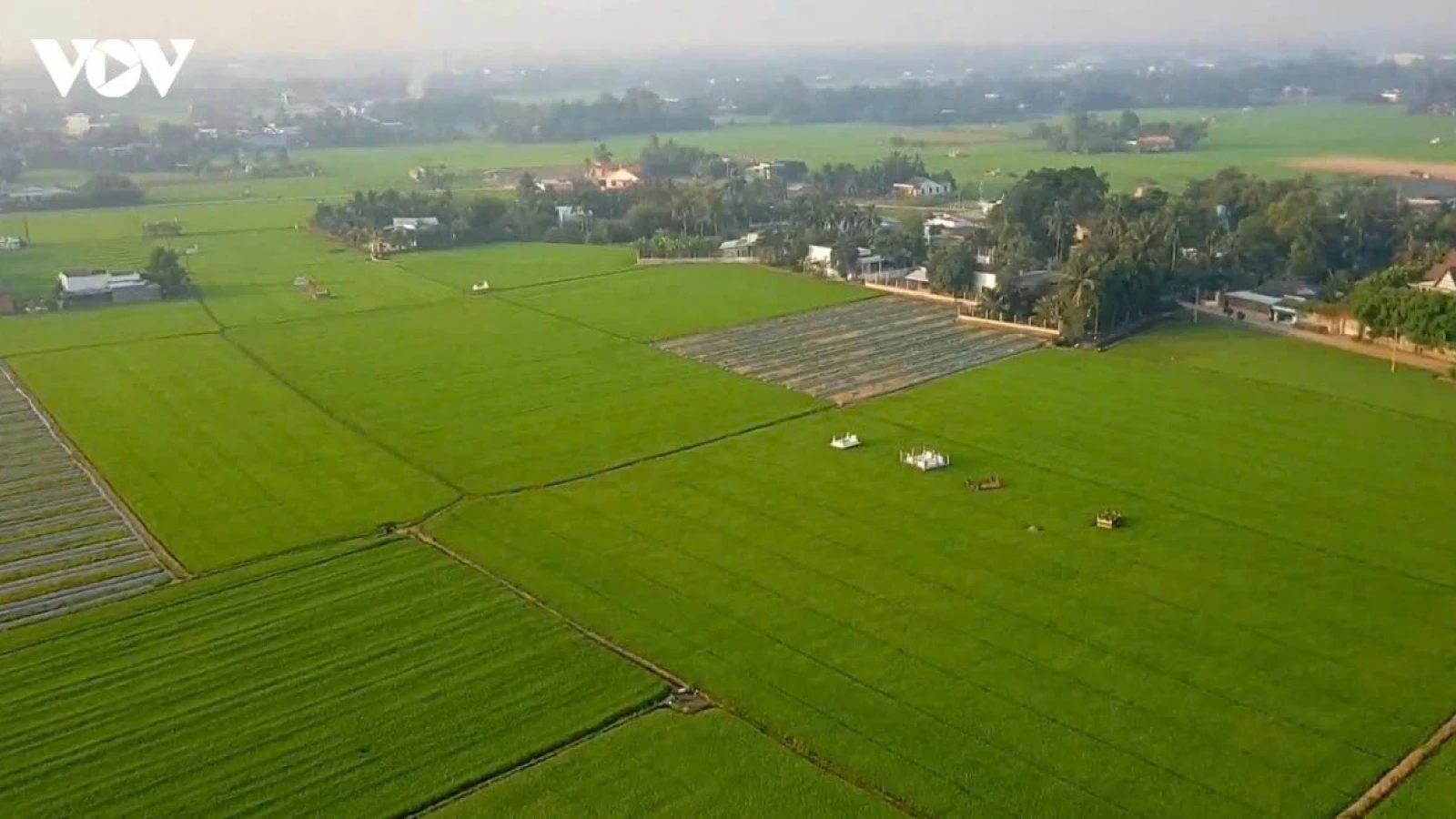 Kế hoạch triển khai chính sách đặc thù để xử lý vi phạm đất đai trước năm 2024