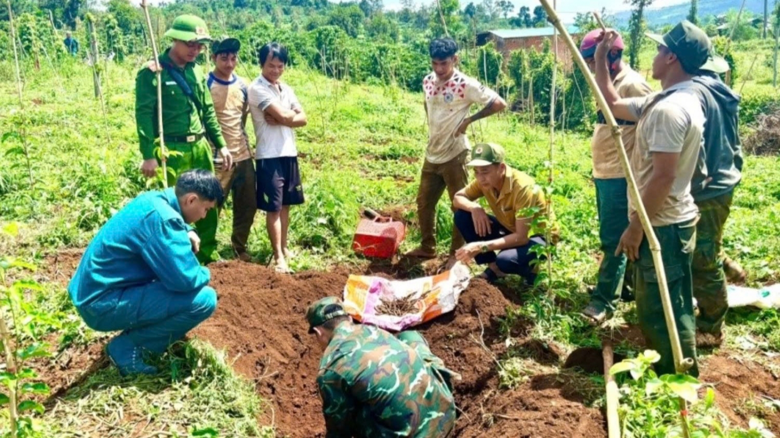 Phát hiện hơn 1.000 viên đạn trong vườn cà phê tại Lâm Đồng