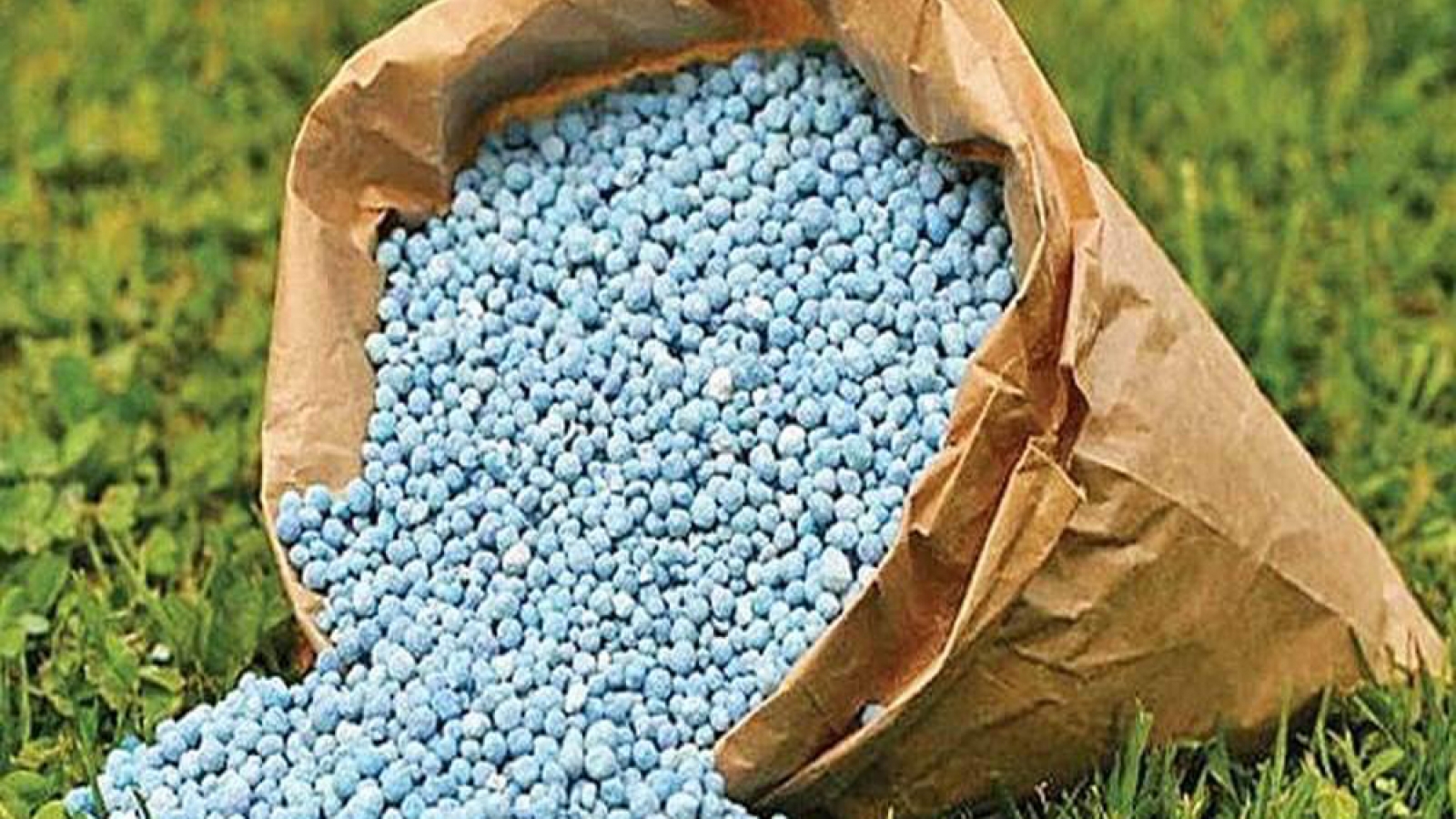 Mỹ tạm dừng áp thuế phân bón từ Morocco nhằm bảo đảm nguồn cung nông nghiệp