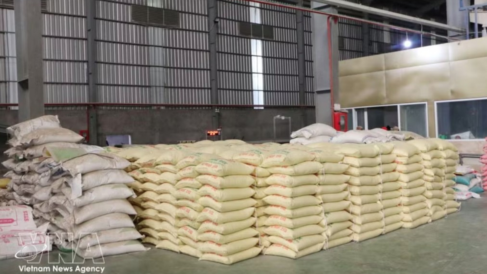 Vietnam ships 5 million tonnes of rice abroad in first half