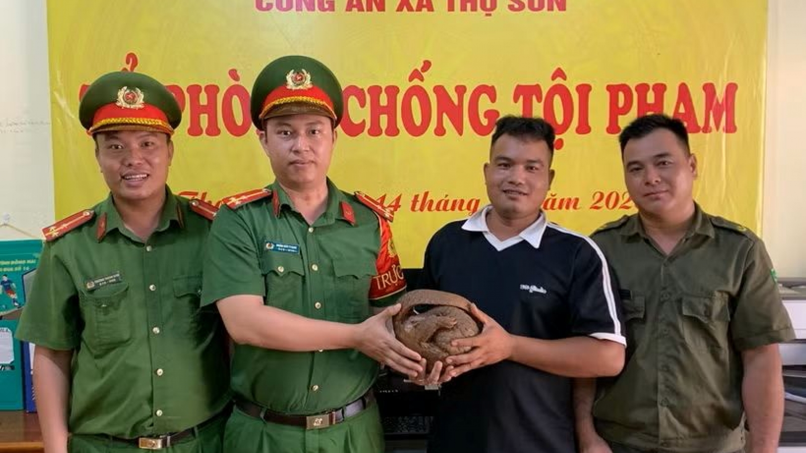 Rare Sunda pangolin handed over to authorities for protection in Vietnam