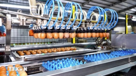 Tay Ninh expands investment opportunities with Belgium