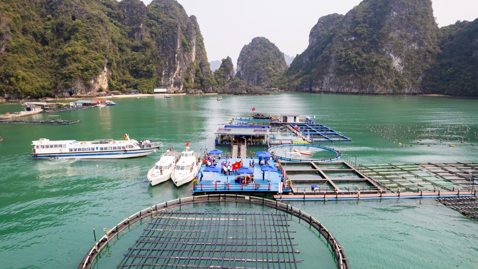 Thí điểm đưa vùng nuôi biển thành điểm du lịch trải nghiệm tại Vân Đồn, Quảng Ninh