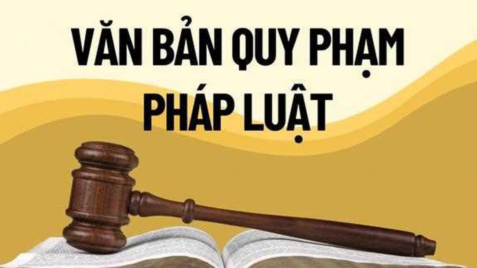 Xử lý triệt để tình trạng chậm ban hành văn bản quy định chi tiết luật, pháp lệnh