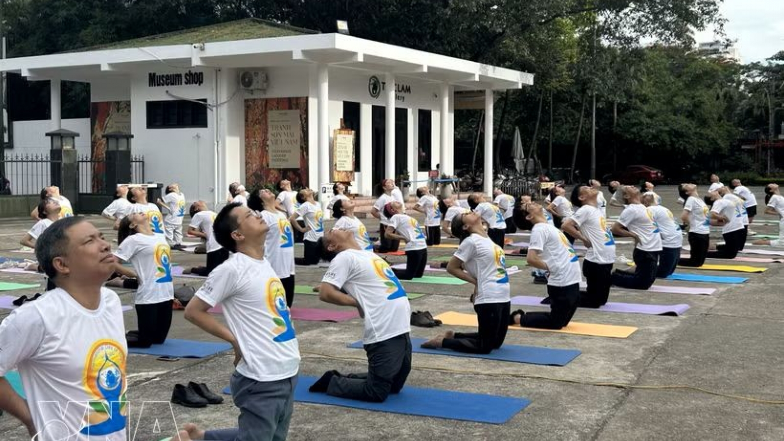 Mass yoga performance celebrates India – Vietnam cultural ties