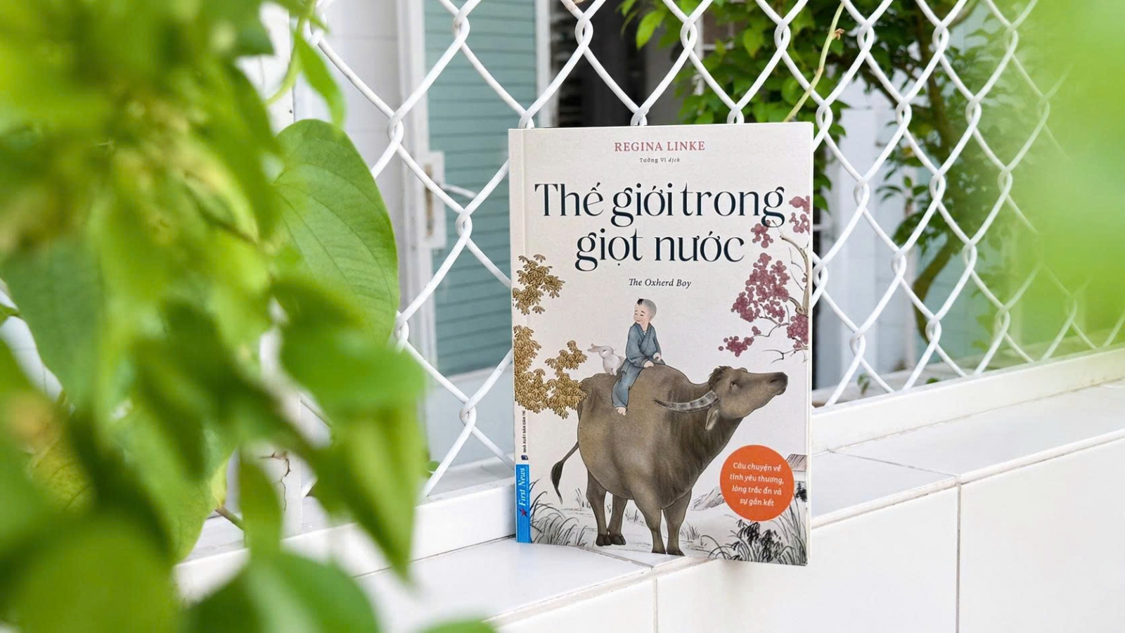 "Thế giới trong giọt nước" - Nhìn cuộc đời từ những điều bé nhỏ