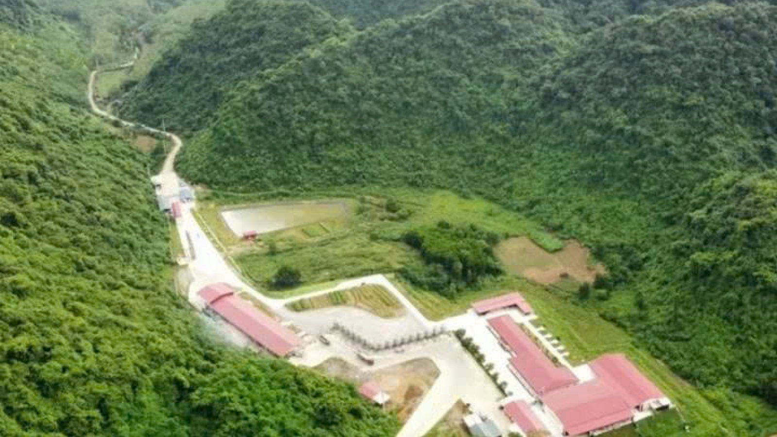 Vụ tai nạn tại trang trại lợn ở Thanh Hóa, thêm 2 nạn nhân tử vong