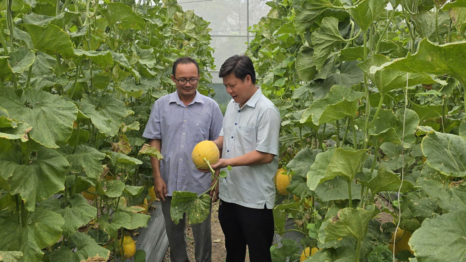 Đồng Nai bứt phá tăng trưởng, lấy niềm tin làm thước đo