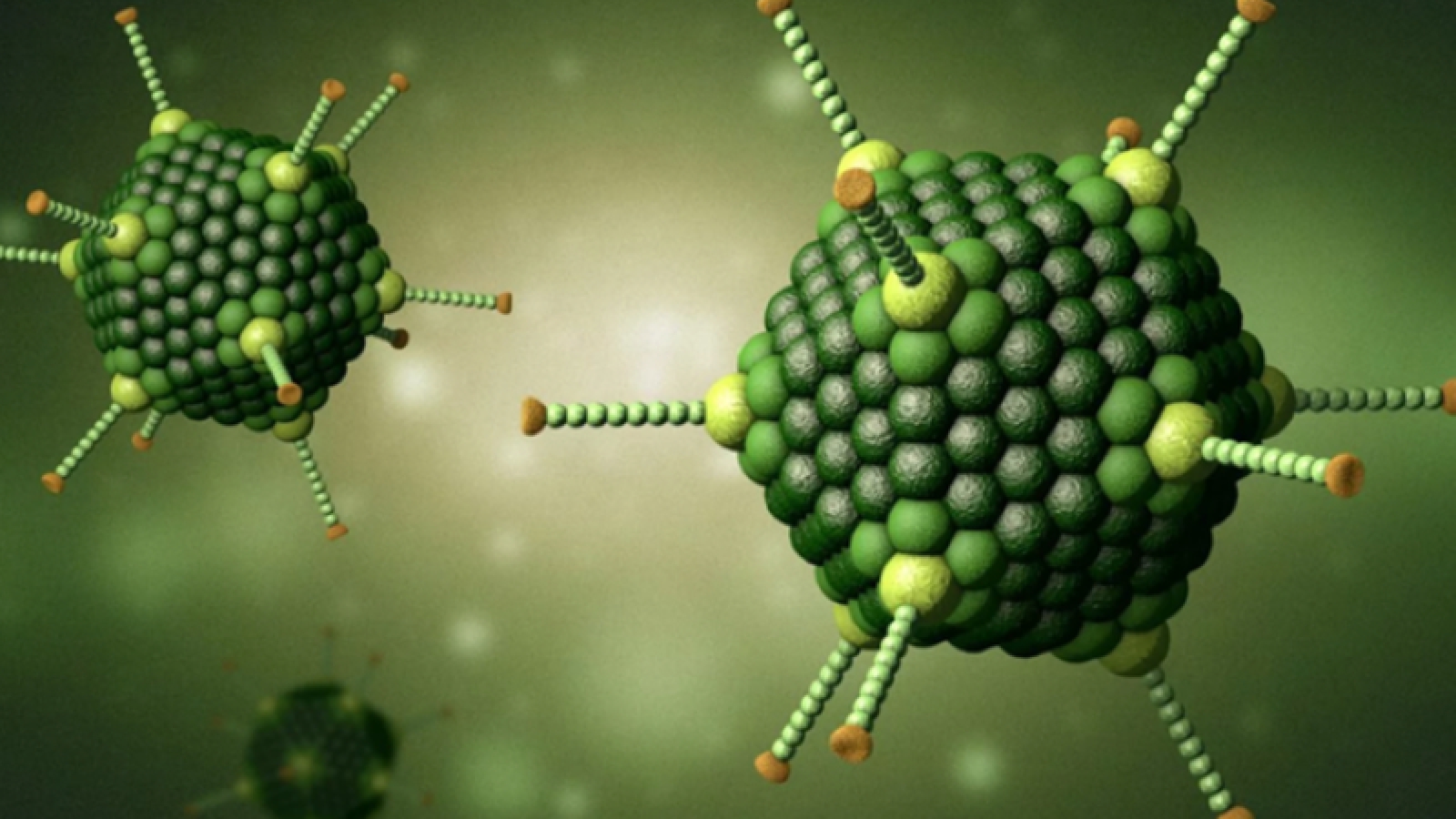 Virus Adeno có phải là nguyên nhân gây đau mắt đỏ hay viêm kết mạc?