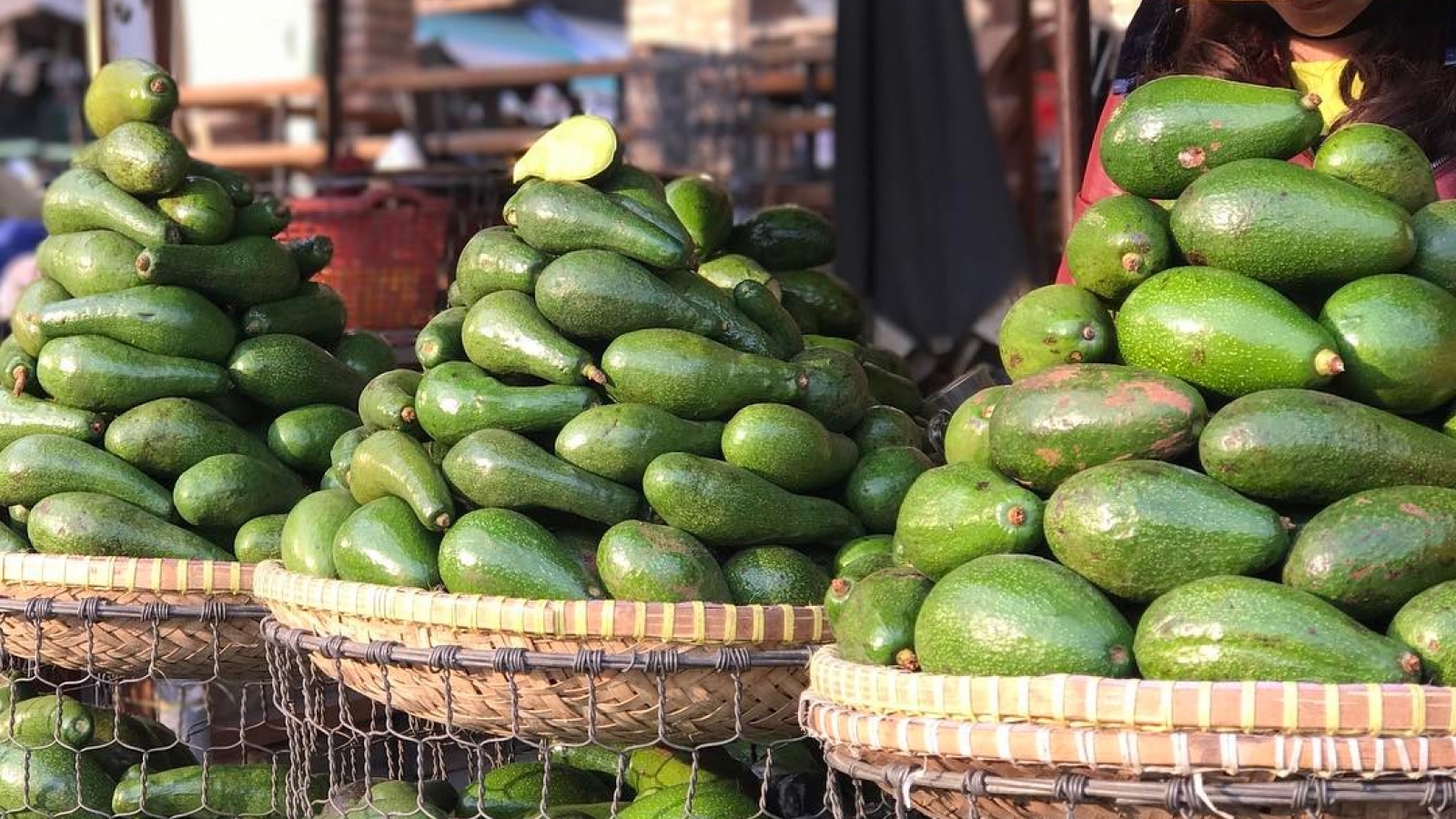 Bật mí cách đơn giản để chọn bơ ngon