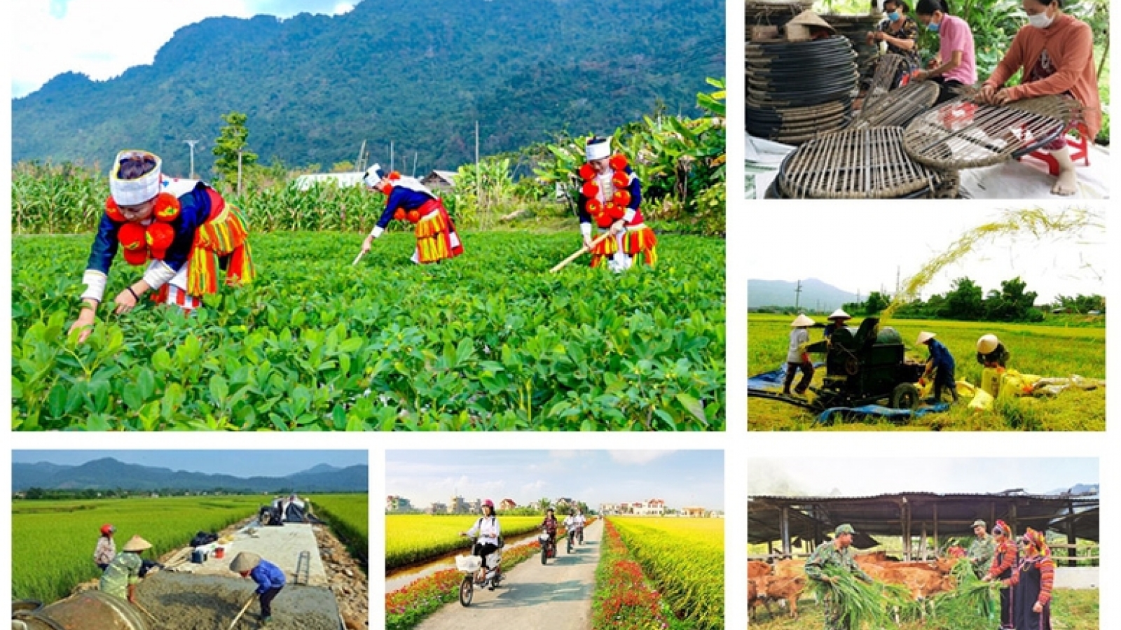 Phấn đấu giải ngân 100% vốn Chương trình mục tiêu quốc gia
