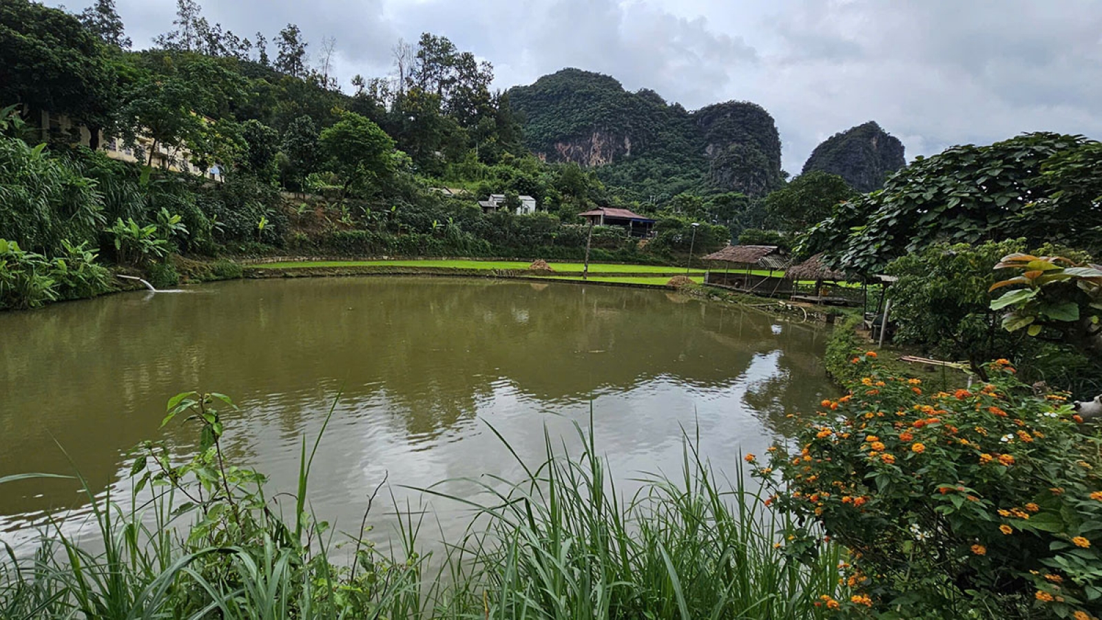 Về hồ câu Nà Phừm, nghe điệu khắp Thái giữa đại ngàn Tây Bắc