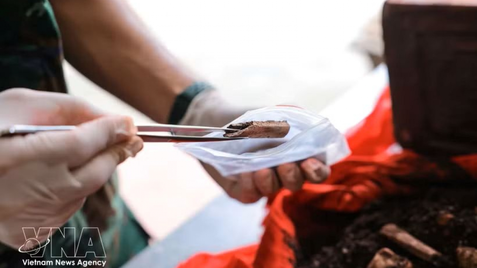 Tuyen Quang to collect DNA samples to identify over 3,900 martyrs