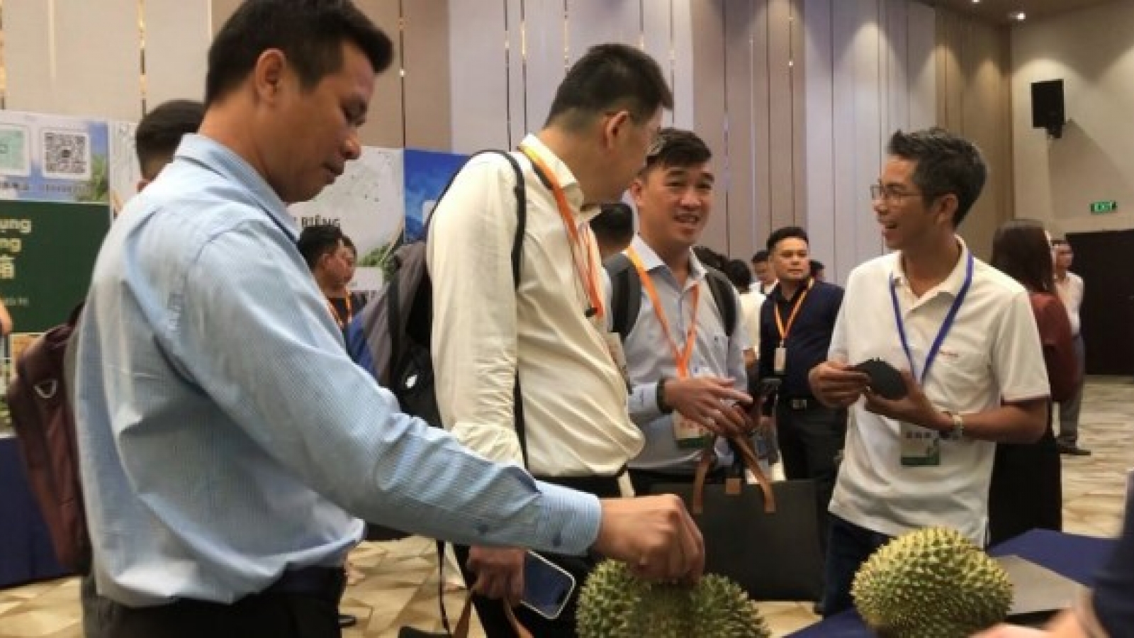More than 100 Chinese companies come to Vietnam to source durians
