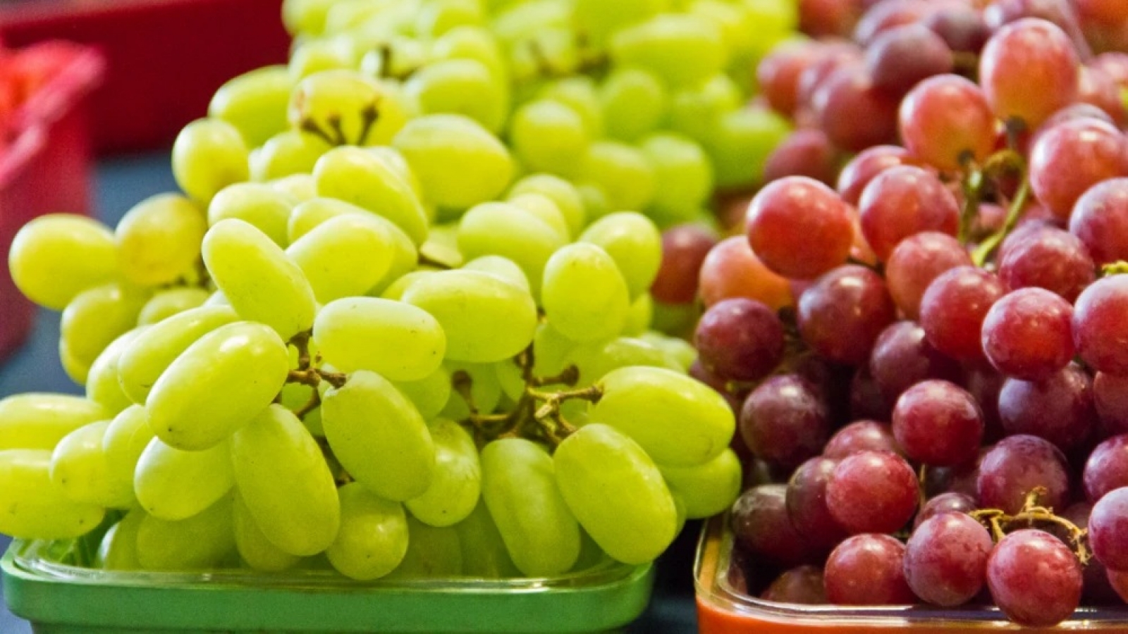 Vì sao hoa quả Trung Quốc giá cao vẫn “đắt như tôm tươi”?