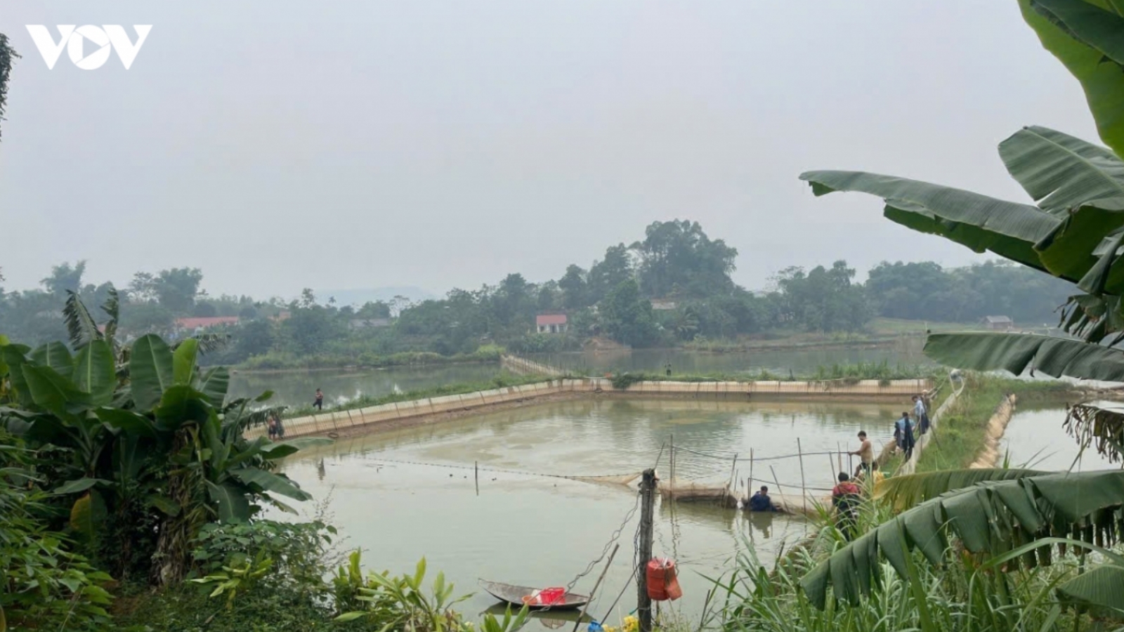 Có thể đăng ký hợp tác xã trực tuyến từ 23/7