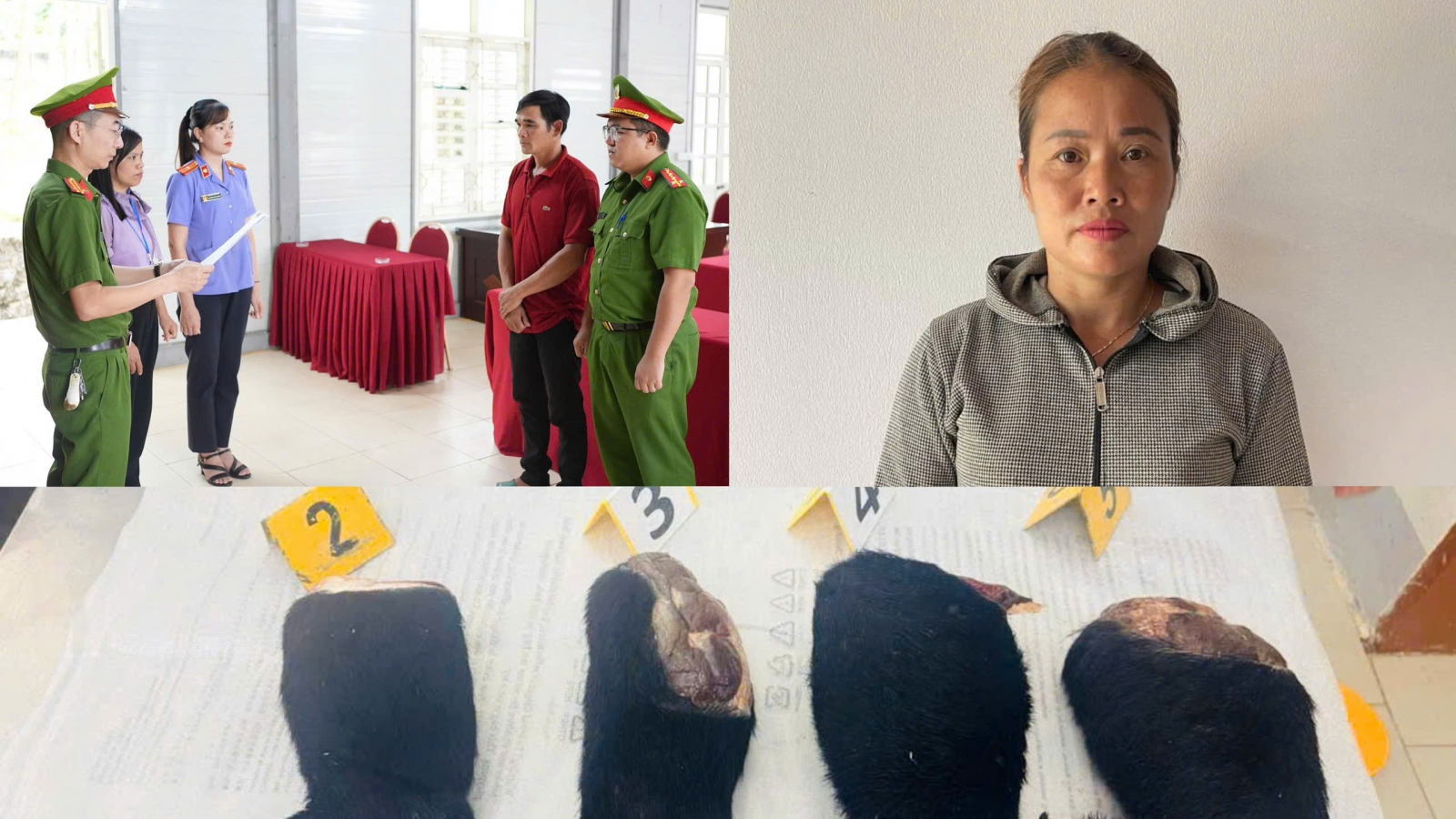 Sơn La khởi tố hai đối tượng mua bán tay gấu ngựa