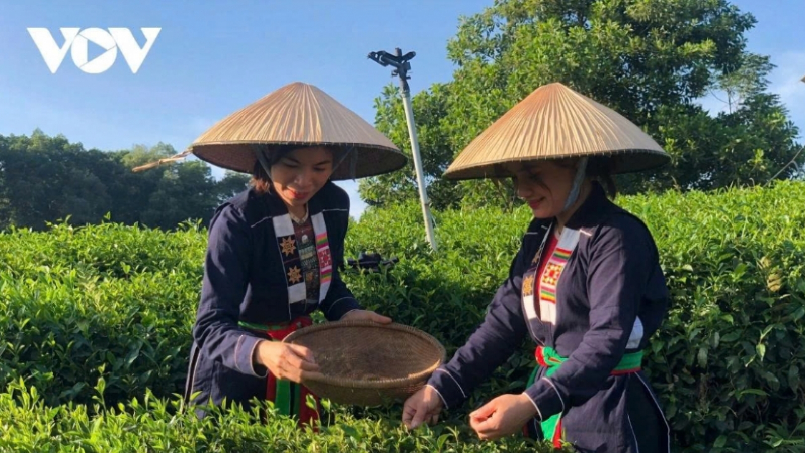 Tham gia đào tạo, bồi dưỡng khuyến nông được hỗ trợ 100% chi phí ăn ở, đi lại