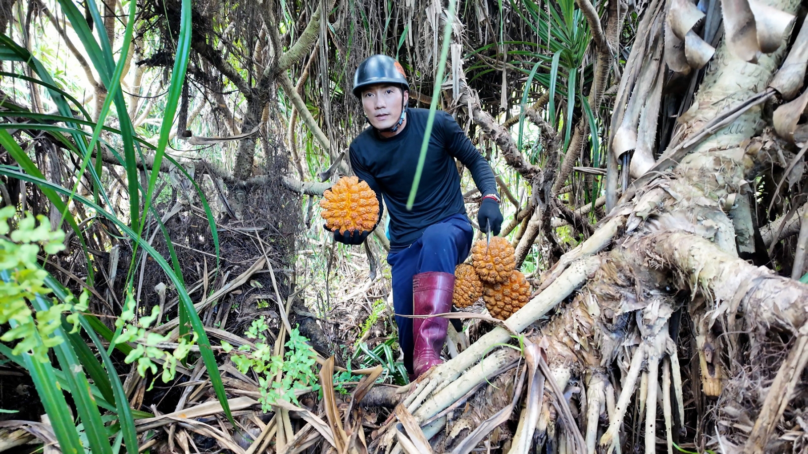 Săn “lộc rừng" giữa biển khơi Thanh Lân (Cô Tô)