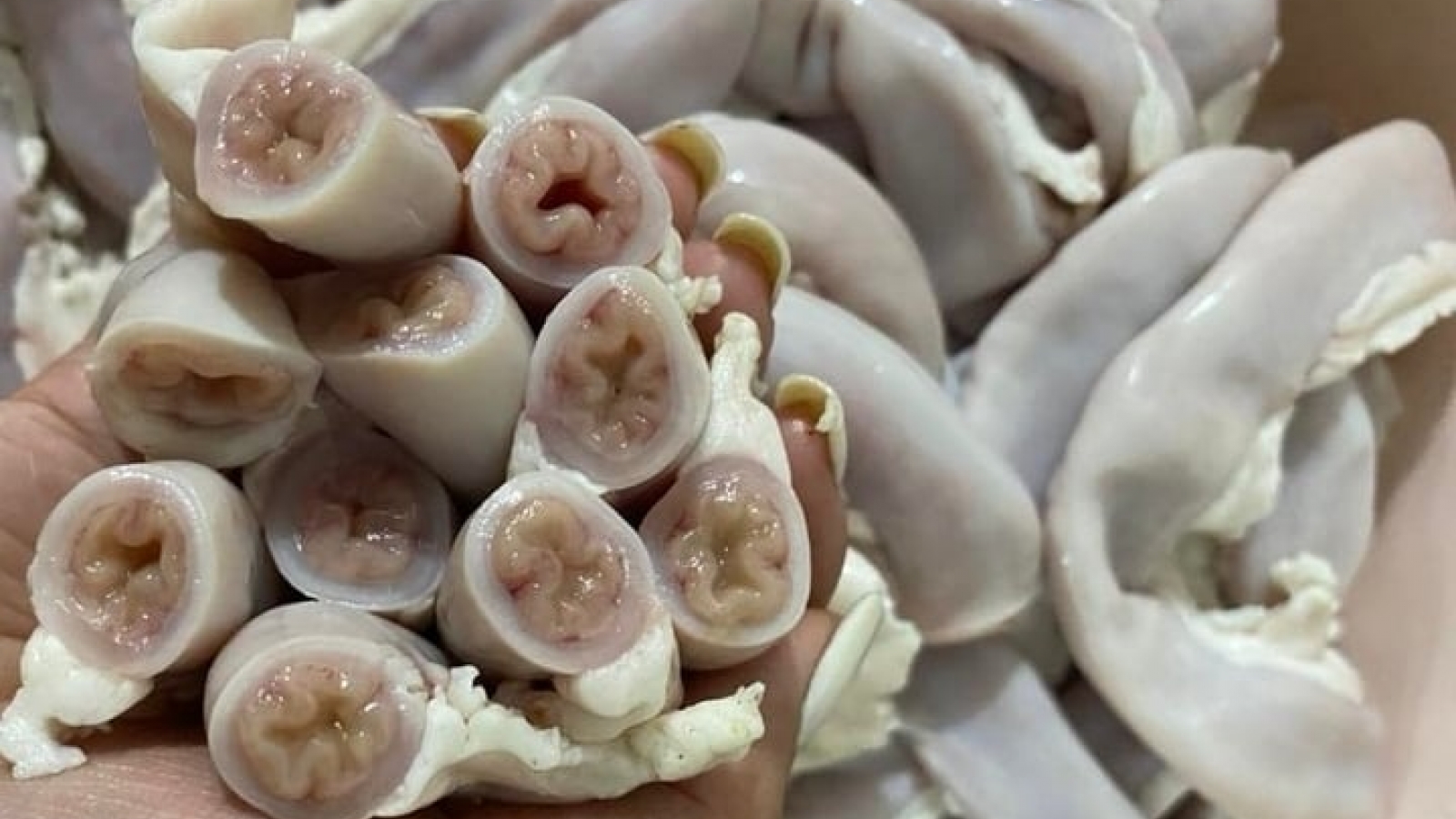 Lợn càng nhiều "lòng se điếu" càng nhiều giun sán và nhiễm độc