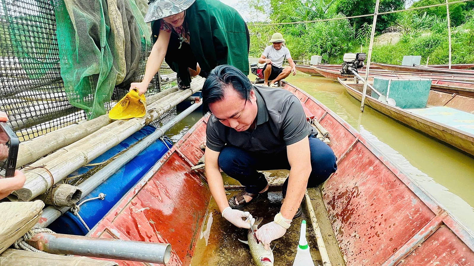 Nghệ An kiểm tra, lấy mẫu xác định nguyên nhân cá chết bất thường trên sông Lam