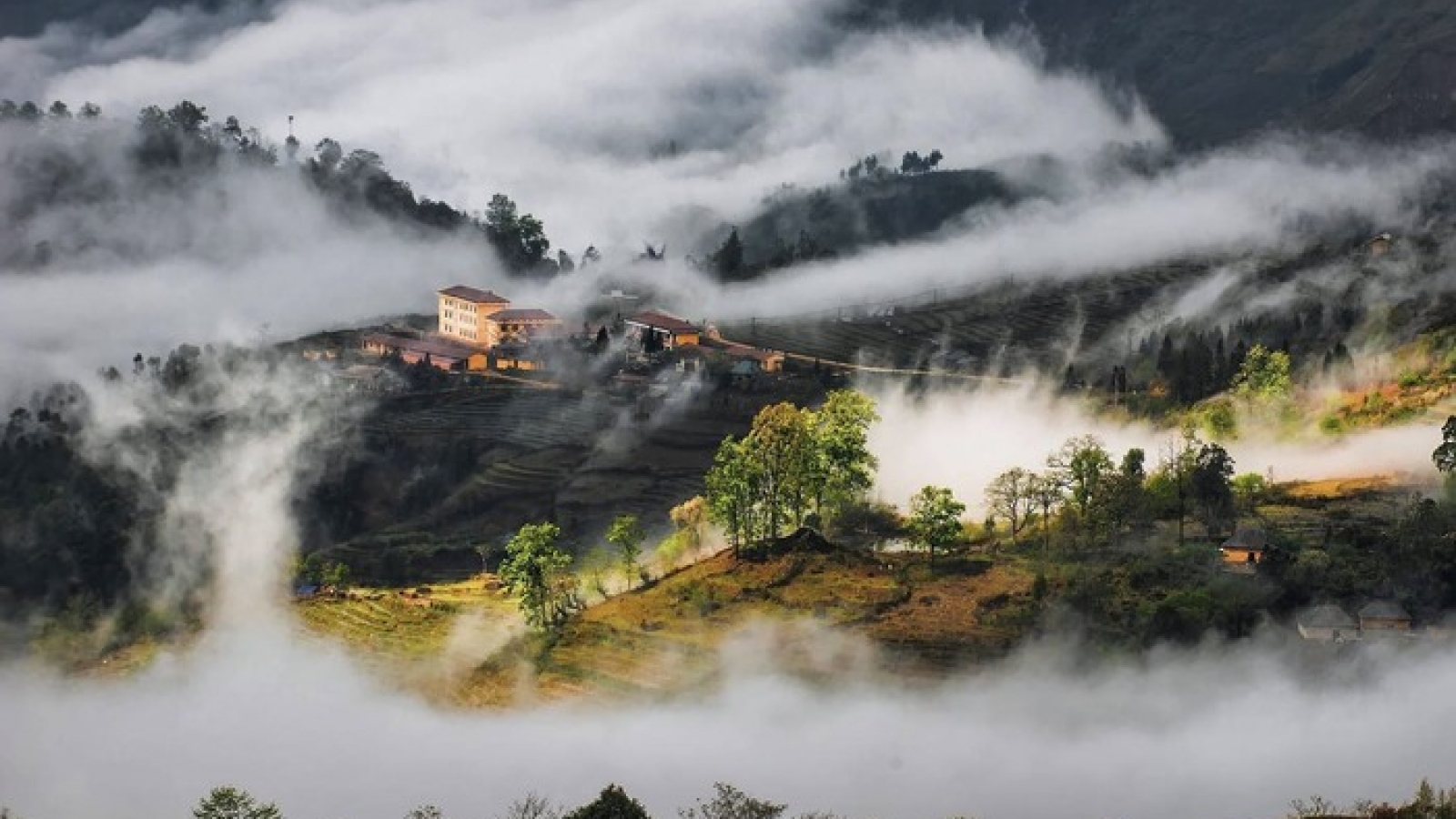 Gửi gió cho mây ngàn bay