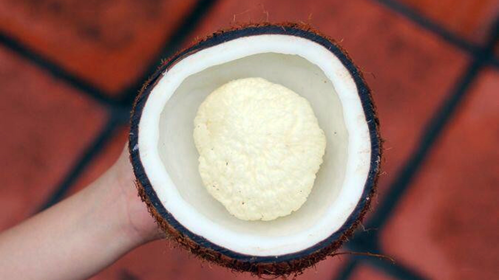 Đặc sản “bí mật” bên trong trái dừa có giá đắt đỏ