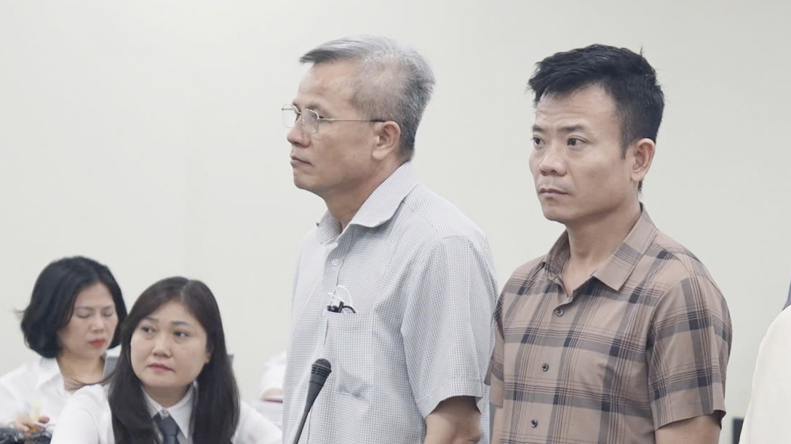 Cựu Chủ tịch Công ty Nam Triệu bị tuyên phạt mức án 29 năm tù